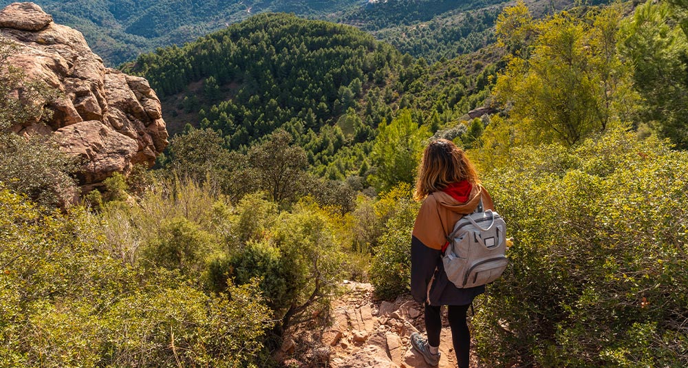 La sophrologie en randonnée en forêt